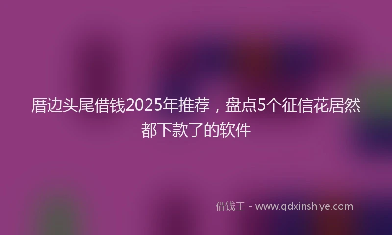厝边头尾借钱2025年推荐，盘点5个征信花居然都下款了的软件