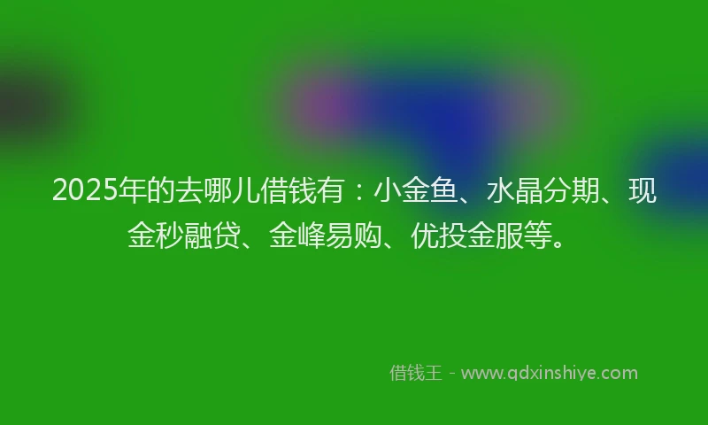 2025年的去哪儿借钱有：小金鱼、水晶分期、现金秒融贷、金峰易购、优投金服等。