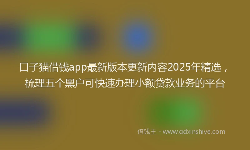 口子猫借钱app最新版本更新内容2025年精选，梳理五个黑户可快速办理小额贷款业务的平台
