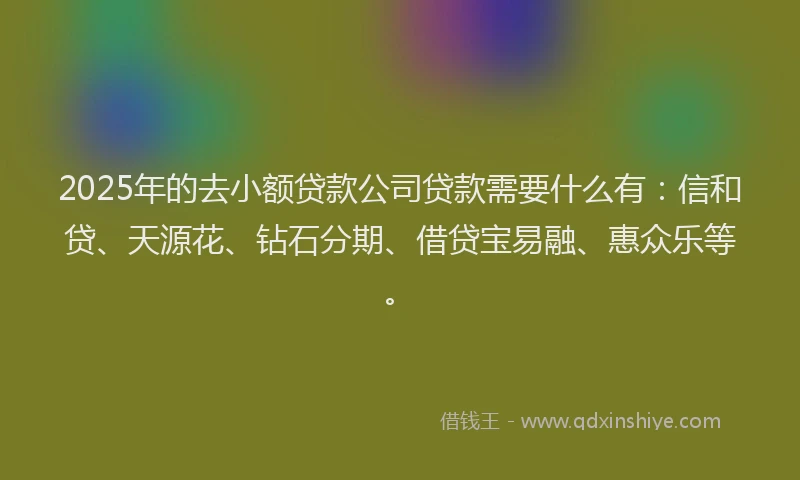 2025年的去小额贷款公司贷款需要什么有：信和贷、天源花、钻石分期、借贷宝易融、惠众乐等。