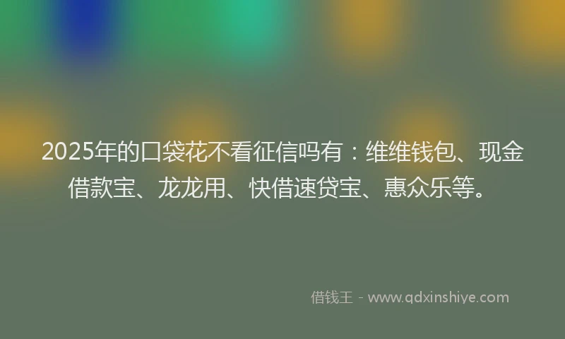 2025年的口袋花不看征信吗有：维维钱包、现金借款宝、龙龙用、快借速贷宝、惠众乐等。
