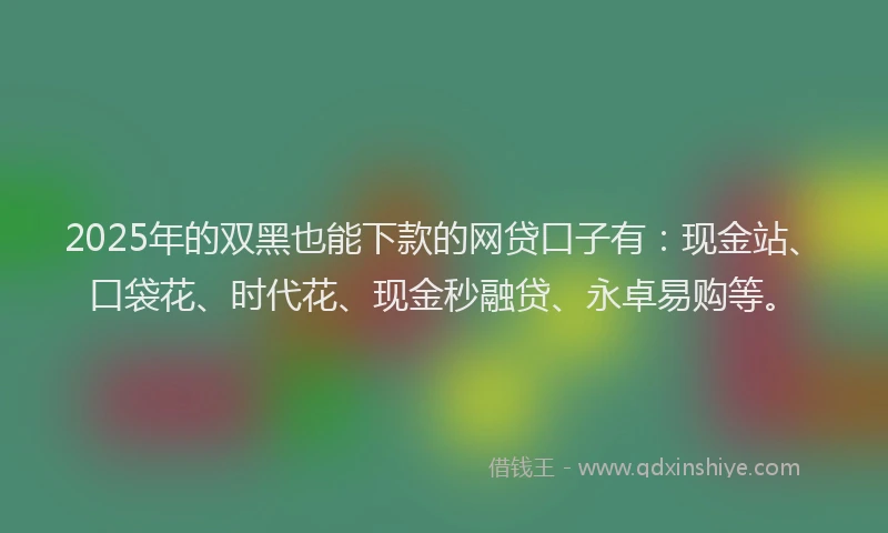 2025年的双黑也能下款的网贷口子有：现金站、口袋花、时代花、现金秒融贷、永卓易购等。