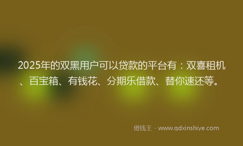 2025年的双黑用户可以贷款的平台有：双喜租机、百宝箱、有钱花、分期乐借款、替你速还等。
