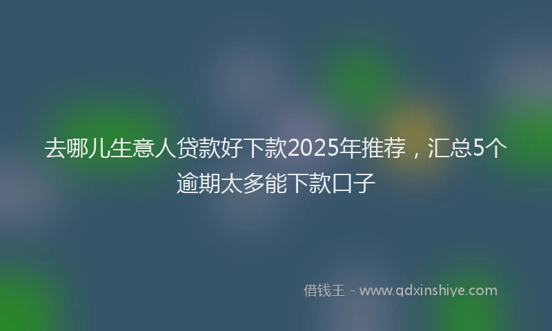 去哪儿生意人贷款好下款2025年推荐，汇总5个逾期太多能下款口子