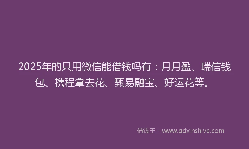 2025年的只用微信能借钱吗有：月月盈、瑞信钱包、携程拿去花、甄易融宝、好运花等。