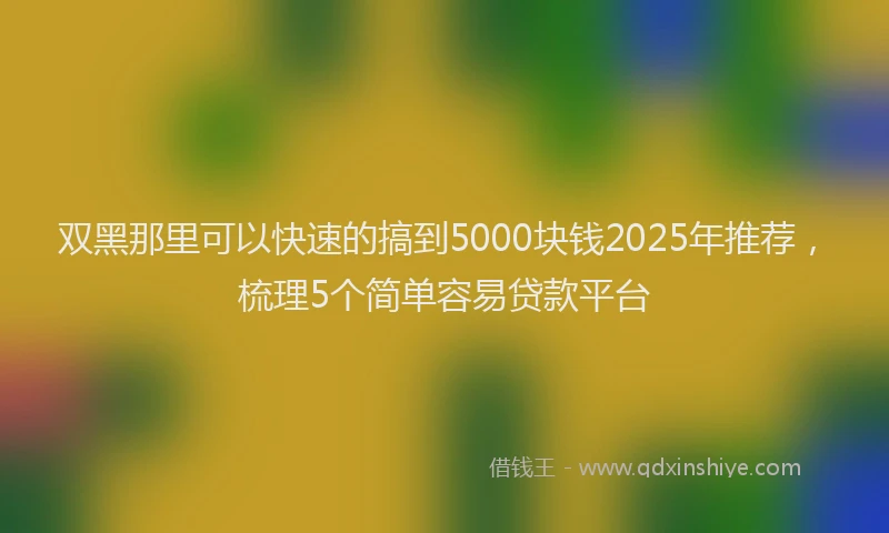 双黑那里可以快速的搞到5000块钱2025年推荐，梳理5个简单容易贷款平台