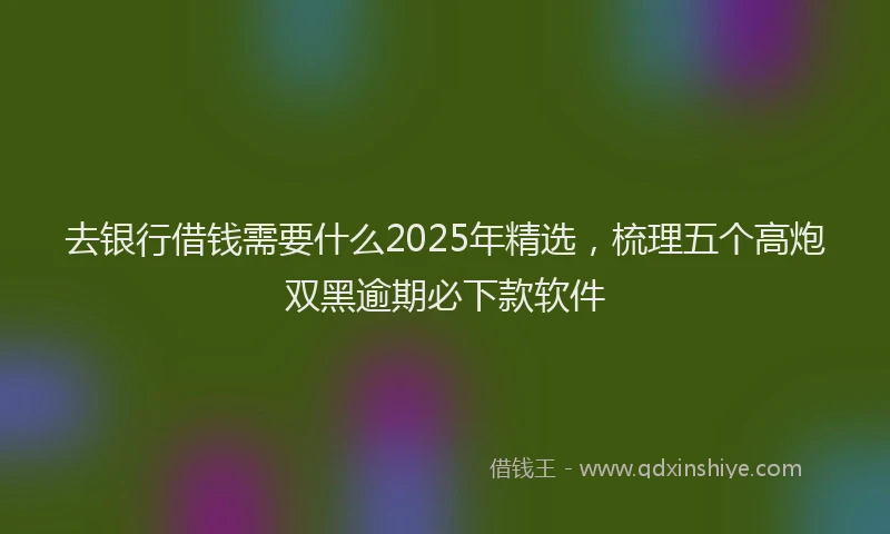 去银行借钱需要什么2025年精选，梳理五个高炮双黑逾期必下款软件