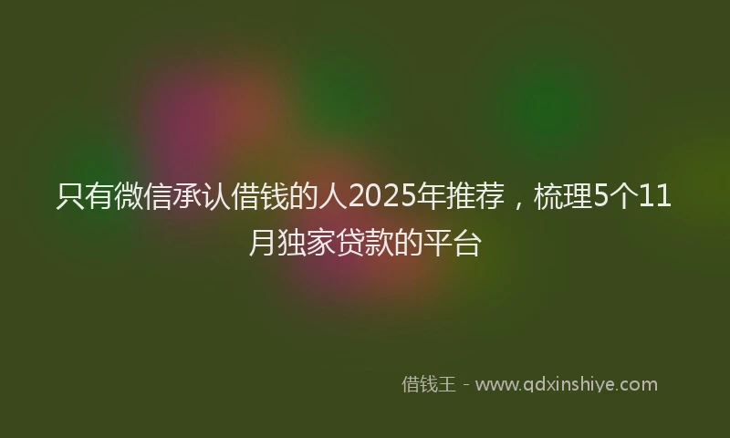 只有微信承认借钱的人2025年推荐，梳理5个11月独家贷款的平台