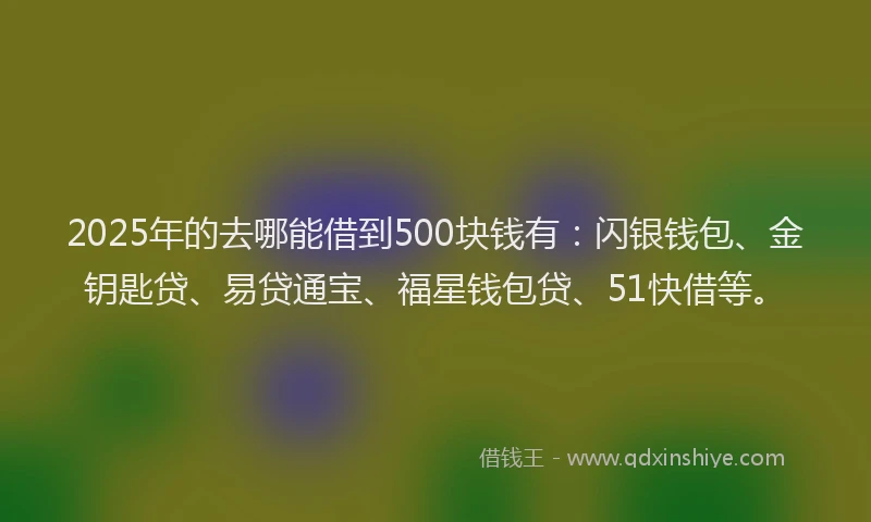2025年的去哪能借到500块钱有：闪银钱包、金钥匙贷、易贷通宝、福星钱包贷、51快借等。