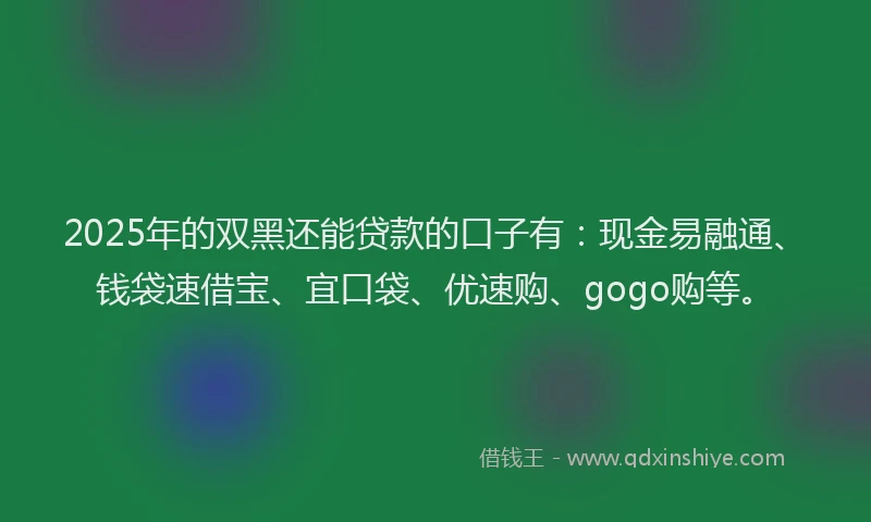 2025年的双黑还能贷款的口子有：现金易融通、钱袋速借宝、宜口袋、优速购、gogo购等。