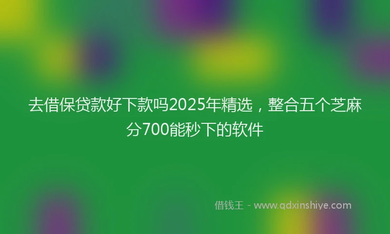 去借保贷款好下款吗2025年精选，整合五个芝麻分700能秒下的软件