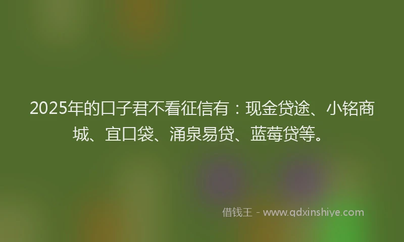 2025年的口子君不看征信有：现金贷途、小铭商城、宜口袋、涌泉易贷、蓝莓贷等。