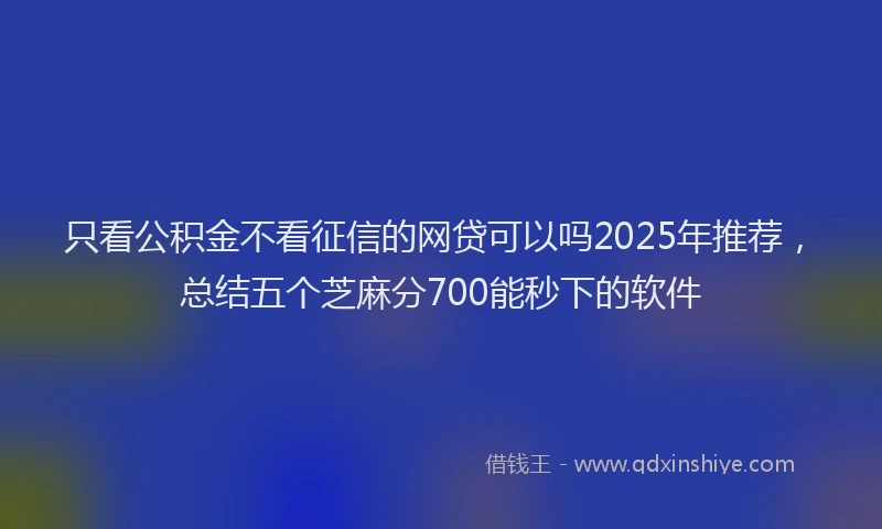 只看公积金不看征信的网贷可以吗2025年推荐，总结五个芝麻分700能秒下的软件