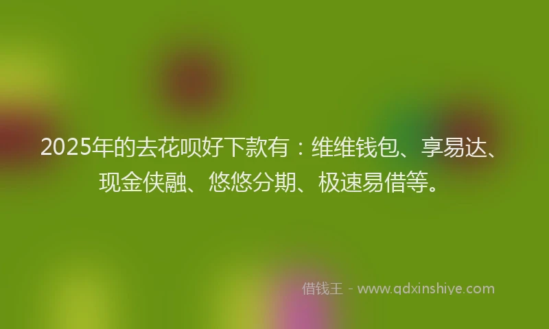 2025年的去花呗好下款有：维维钱包、享易达、现金侠融、悠悠分期、极速易借等。