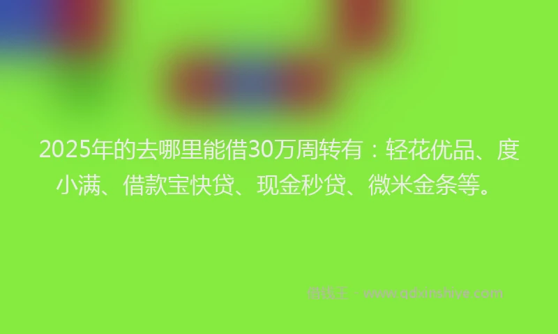 2025年的去哪里能借30万周转有：轻花优品、度小满、借款宝快贷、现金秒贷、微米金条等。
