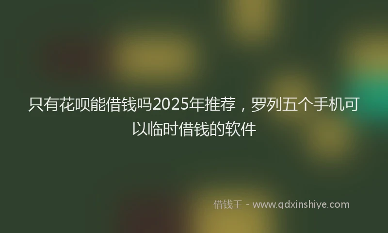 只有花呗能借钱吗2025年推荐，罗列五个手机可以临时借钱的软件