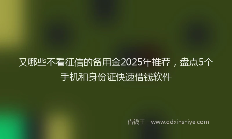 又哪些不看征信的备用金2025年推荐，盘点5个手机和身份证快速借钱软件