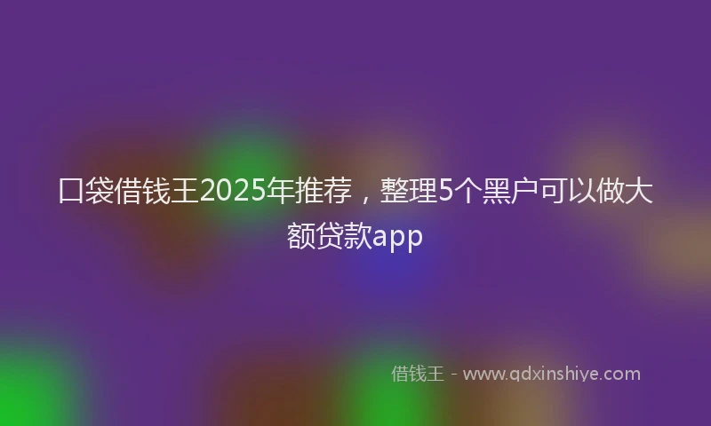 口袋借钱王2025年推荐，整理5个黑户可以做大额贷款app