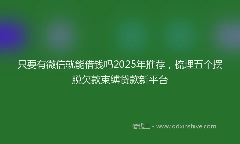 只要有微信就能借钱吗2025年推荐，梳理五个摆脱欠款束缚贷款新平台