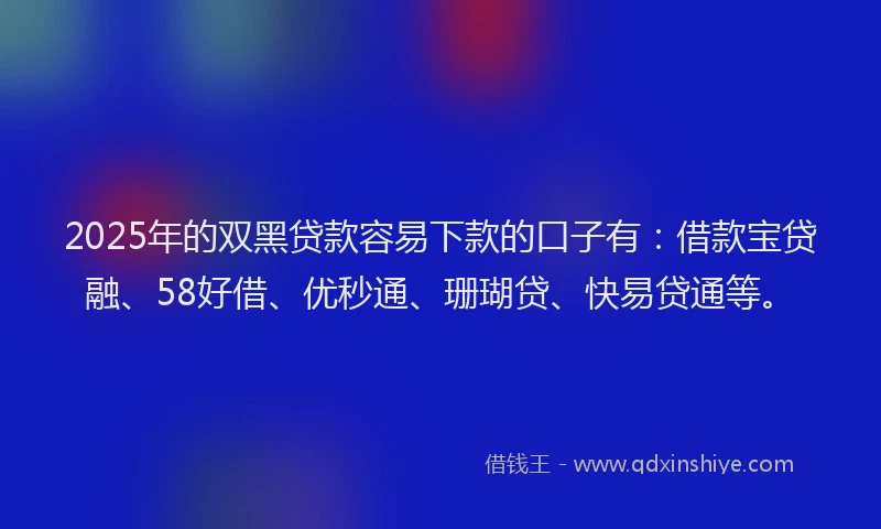 2025年的双黑贷款容易下款的口子有：借款宝贷融、58好借、优秒通、珊瑚贷、快易贷通等。