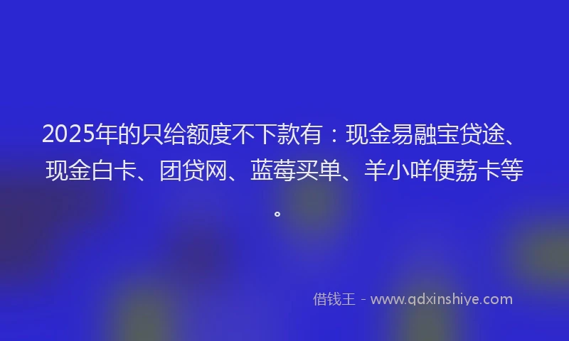 2025年的只给额度不下款有：现金易融宝贷途、现金白卡、团贷网、蓝莓买单、羊小咩便荔卡等。