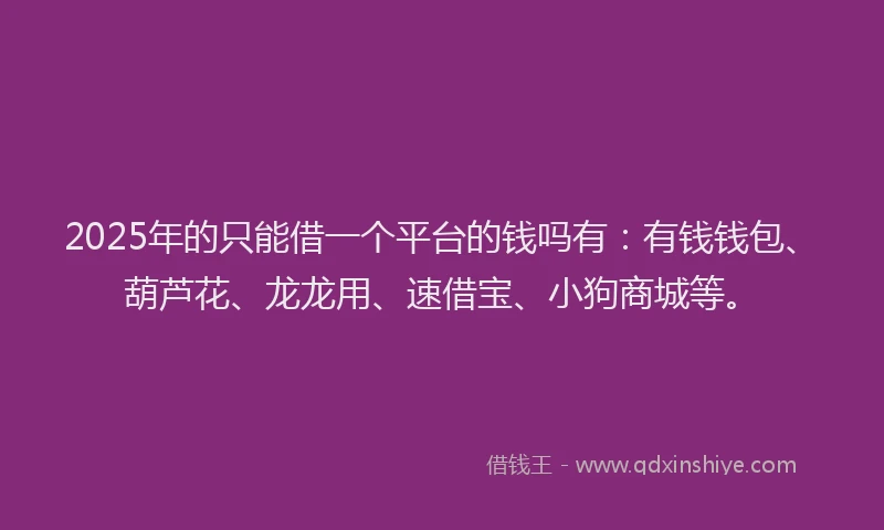 2025年的只能借一个平台的钱吗有：有钱钱包、葫芦花、龙龙用、速借宝、小狗商城等。