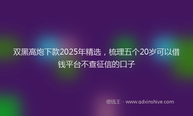 双黑高炮下款2025年精选，梳理五个20岁可以借钱平台不查征信的口子