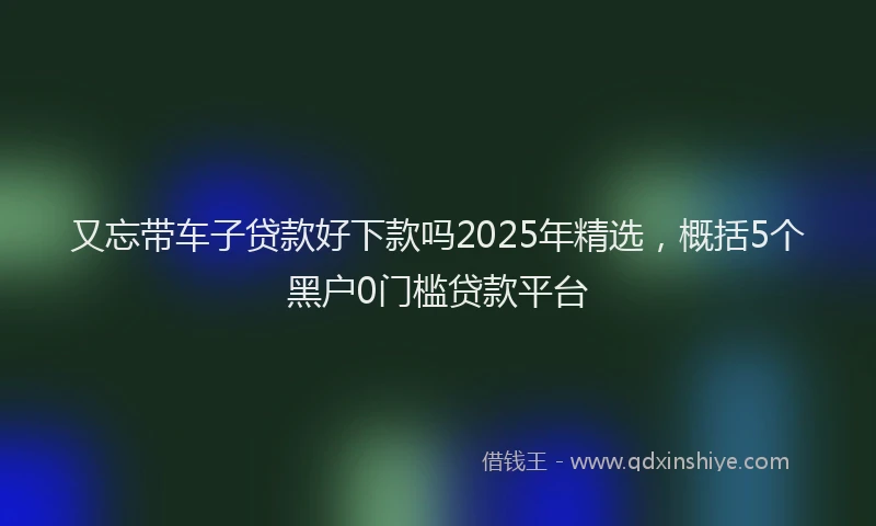 又忘带车子贷款好下款吗2025年精选，概括5个黑户0门槛贷款平台