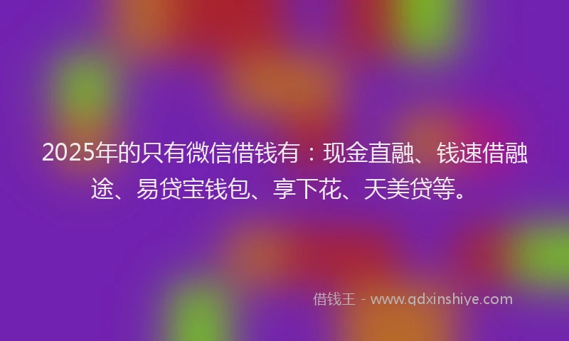2025年的只有微信借钱有：现金直融、钱速借融途、易贷宝钱包、享下花、天美贷等。