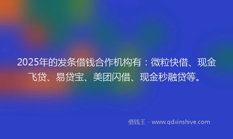 2025年的发条借钱合作机构有：微粒快借、现金飞贷、易贷宝、美团闪借、现金秒融贷等。
