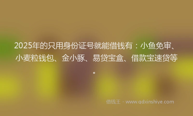 2025年的只用身份证号就能借钱有：小鱼免审、小麦粒钱包、金小豚、易贷宝盒、借款宝速贷等。