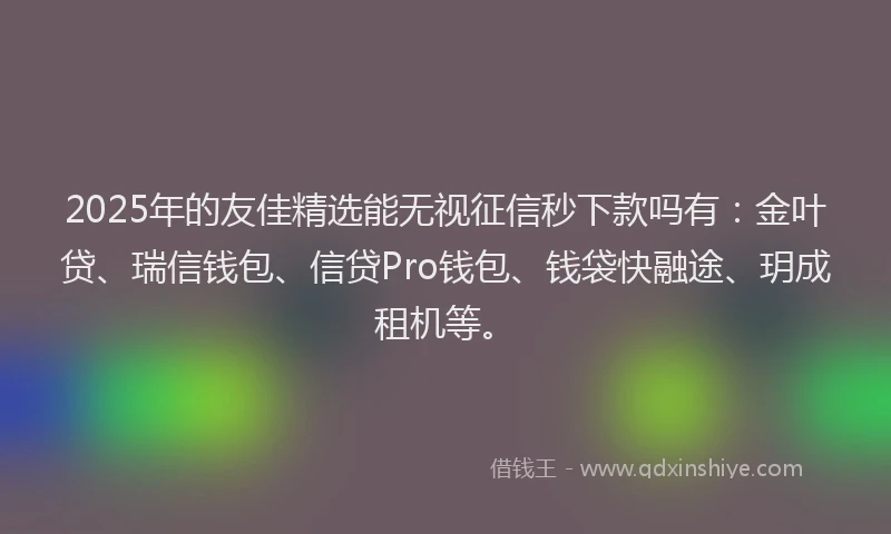 2025年的友佳精选能无视征信秒下款吗有：金叶贷、瑞信钱包、信贷Pro钱包、钱袋快融途、玥成租机等。