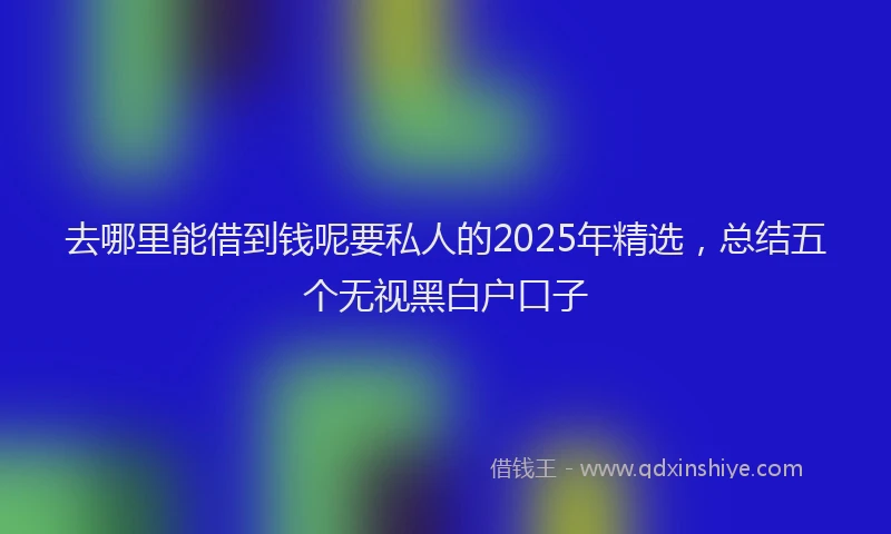 去哪里能借到钱呢要私人的2025年精选，总结五个无视黑白户口子