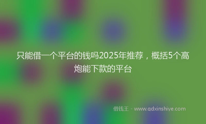 只能借一个平台的钱吗2025年推荐，概括5个高炮能下款的平台