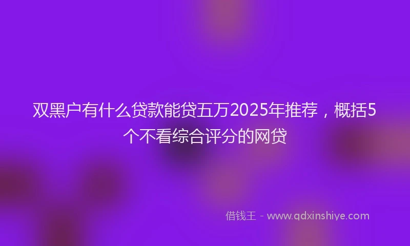 双黑户有什么贷款能贷五万2025年推荐，概括5个不看综合评分的网贷