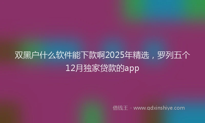 双黑户什么软件能下款啊2025年精选，罗列五个12月独家贷款的app