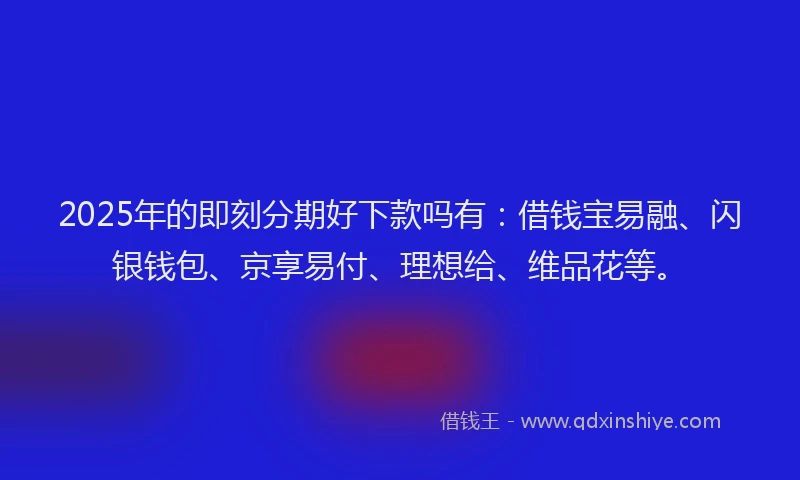 2025年的即刻分期好下款吗有：借钱宝易融、闪银钱包、京享易付、理想给、维品花等。