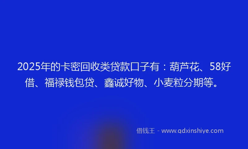 2025年的卡密回收类贷款口子有：葫芦花、58好借、福禄钱包贷、鑫诚好物、小麦粒分期等。