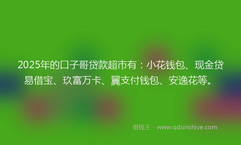 2025年的口子哥贷款超市有：小花钱包、现金贷易借宝、玖富万卡、翼支付钱包、安逸花等。