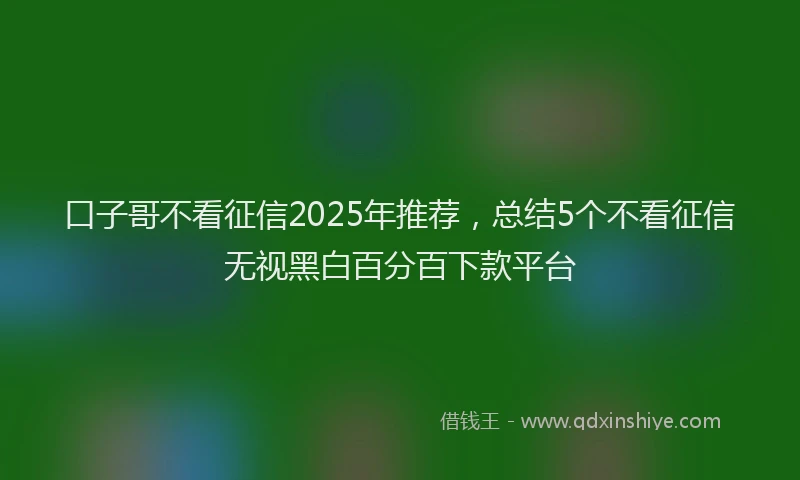 口子哥不看征信2025年推荐，总结5个不看征信无视黑白百分百下款平台