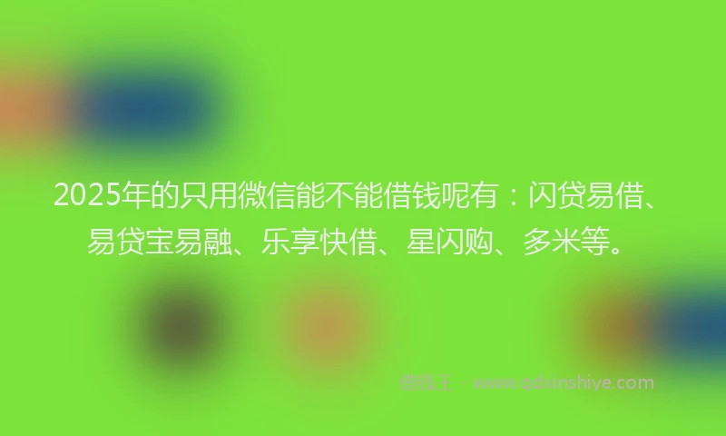 2025年的只用微信能不能借钱呢有：闪贷易借、易贷宝易融、乐享快借、星闪购、多米等。