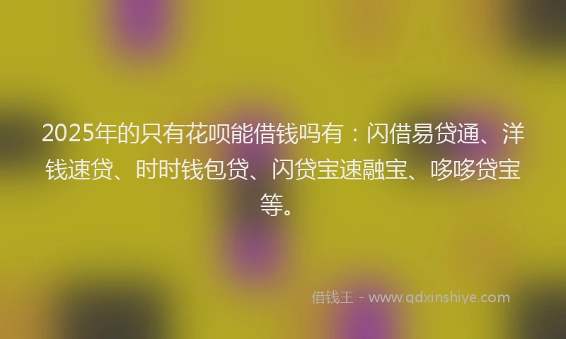 2025年的只有花呗能借钱吗有：闪借易贷通、洋钱速贷、时时钱包贷、闪贷宝速融宝、哆哆贷宝等。