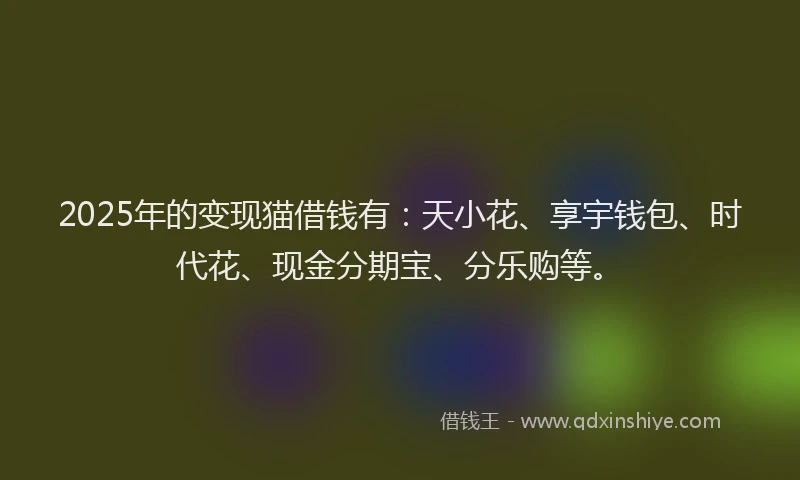 2025年的变现猫借钱有：天小花、享宇钱包、时代花、现金分期宝、分乐购等。