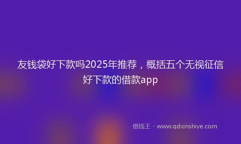 友钱袋好下款吗2025年推荐，概括五个无视征信好下款的借款app