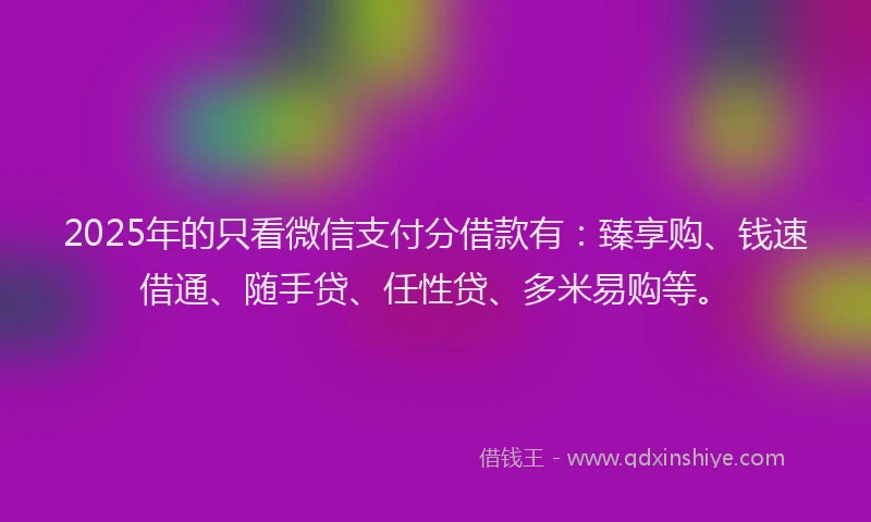 2025年的只看微信支付分借款有：臻享购、钱速借通、随手贷、任性贷、多米易购等。