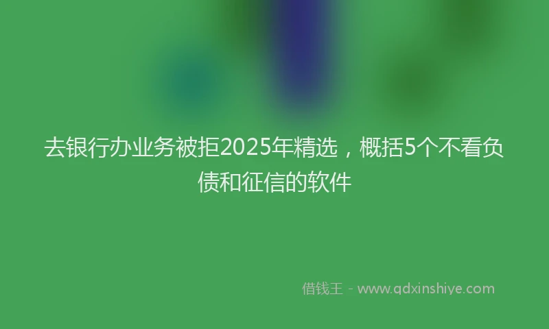 去银行办业务被拒2025年精选，概括5个不看负债和征信的软件
