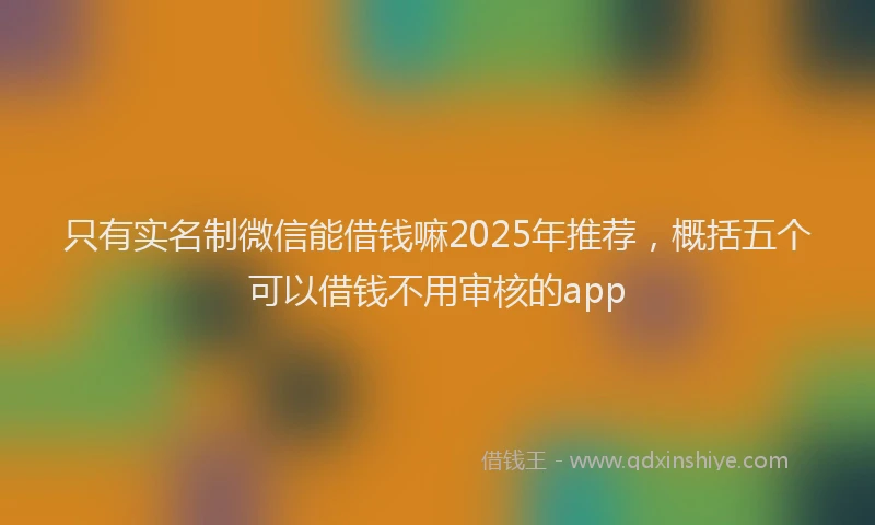 只有实名制微信能借钱嘛2025年推荐，概括五个可以借钱不用审核的app