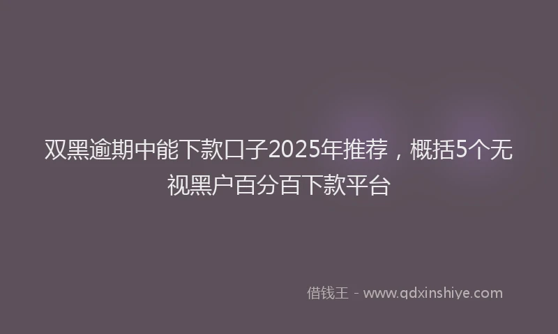 双黑逾期中能下款口子2025年推荐，概括5个无视黑户百分百下款平台