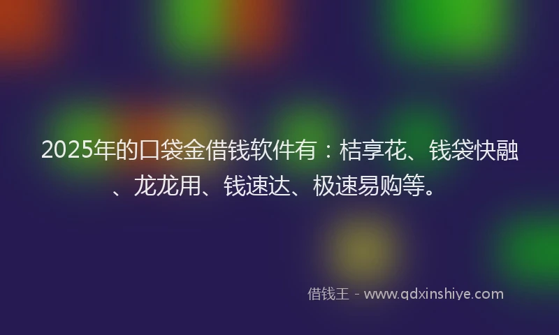 2025年的口袋金借钱软件有：桔享花、钱袋快融、龙龙用、钱速达、极速易购等。