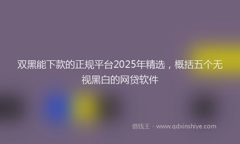 双黑能下款的正规平台2025年精选，概括五个无视黑白的网贷软件